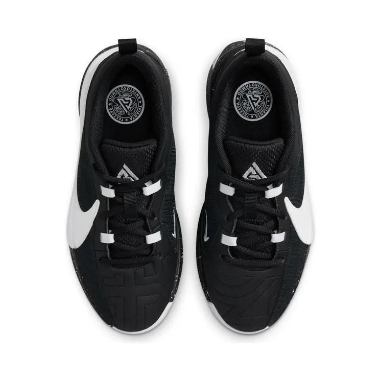 nike-zoom DZ4486-003