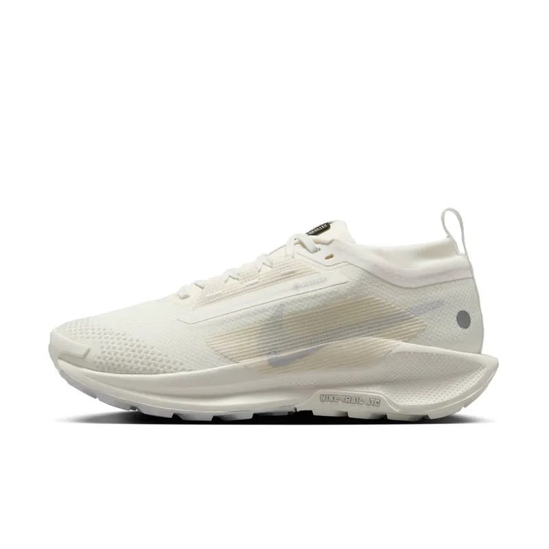 Women's Shoes Nike Pegasus 5 Gore-tex FQ0912-102