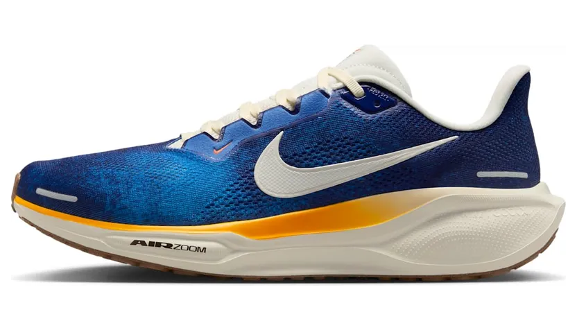 Nike Air Zoom IB7723-492