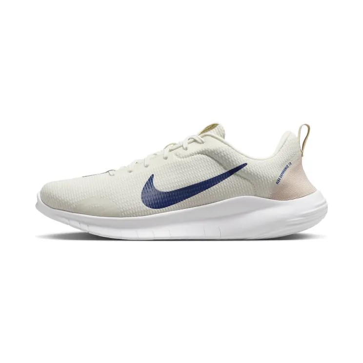 Nike Flex Experience Run 12 “Sail / Light Orewood Brown / Deep Royal Blue” (DV0740-103)