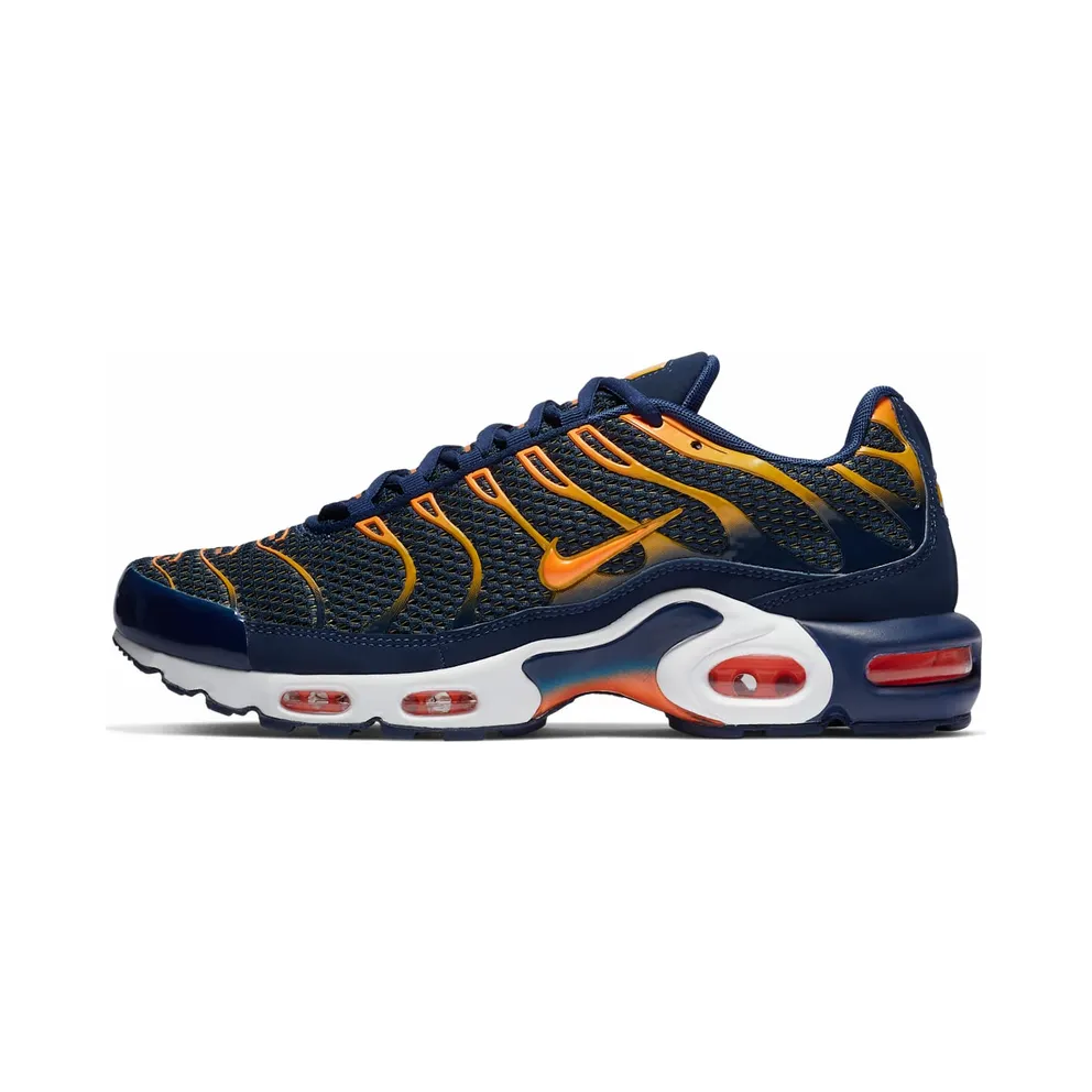 Nike Air Max Plus Blue Void University Gold (852630-408)