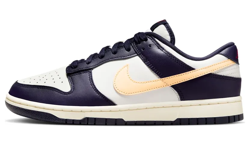 Nike Dunk Low FV8106-181
