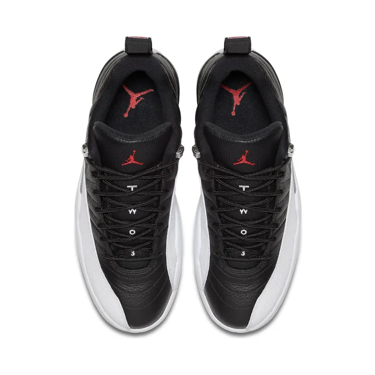 air-jordan-12 308317-004