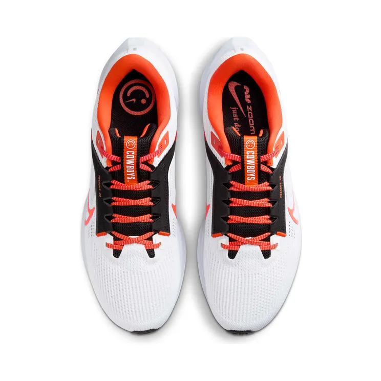 nike-air-pegasus DZ5973-100
