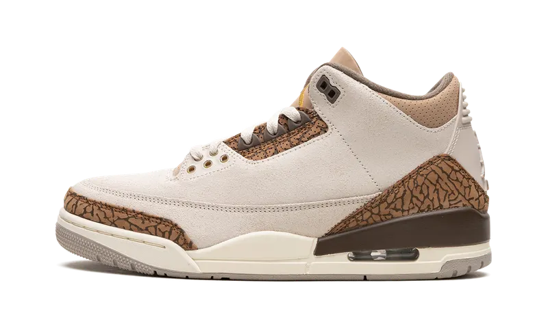 Air Jordan 3 “Palomino” (CT8532-102)