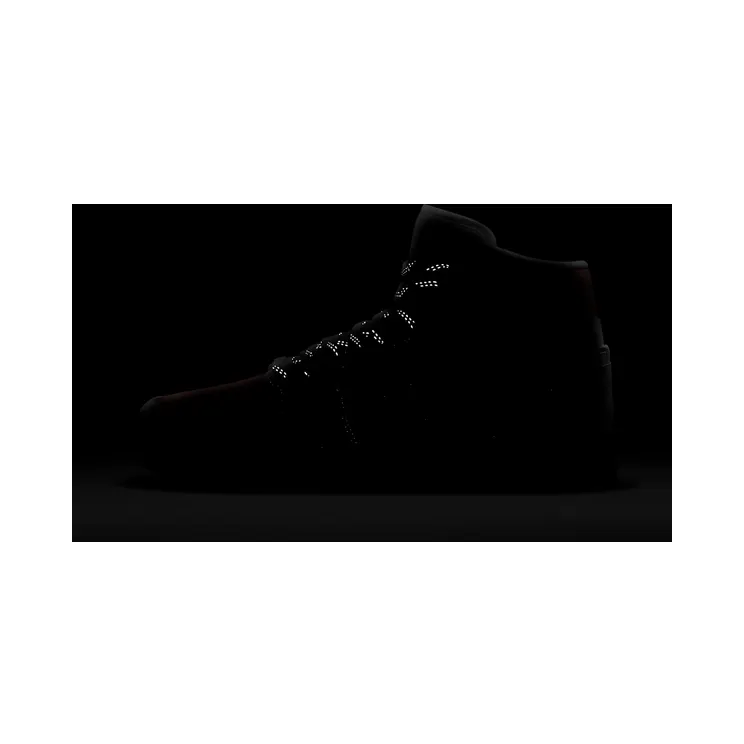 air-jordan-1 CZ0774-800