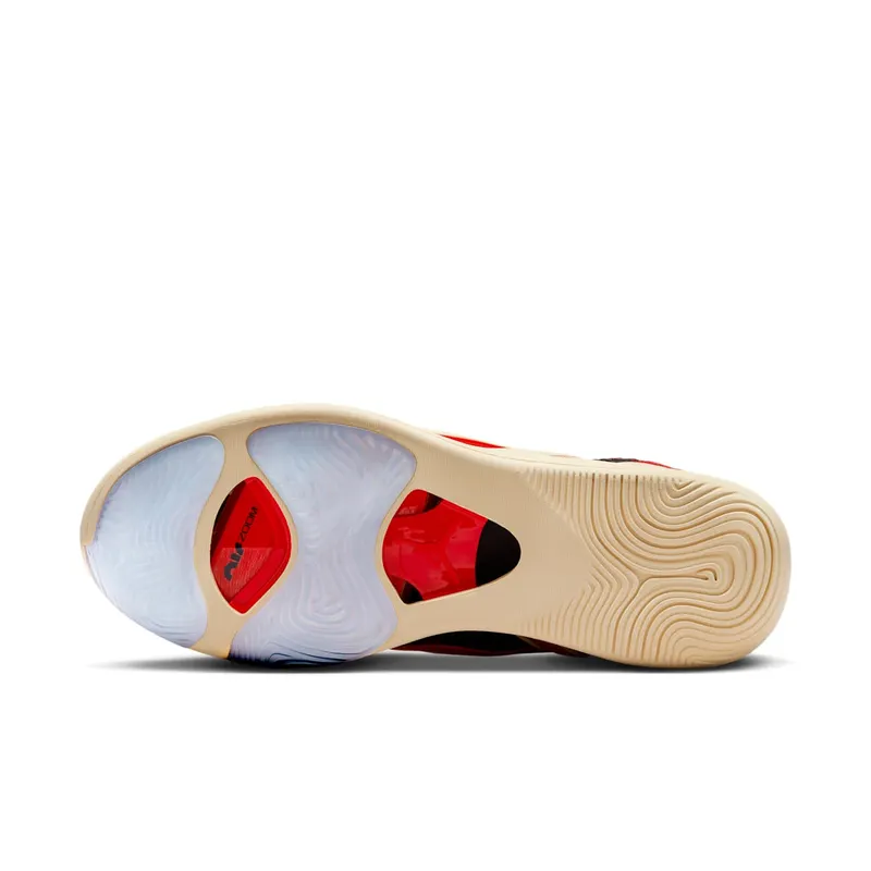 Jordan JT1 “Zoo” (DX5572-001)
