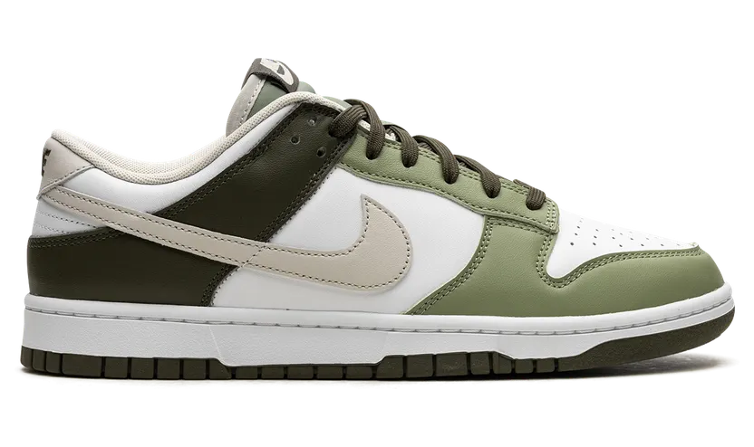 nike-dunk FN6882-100