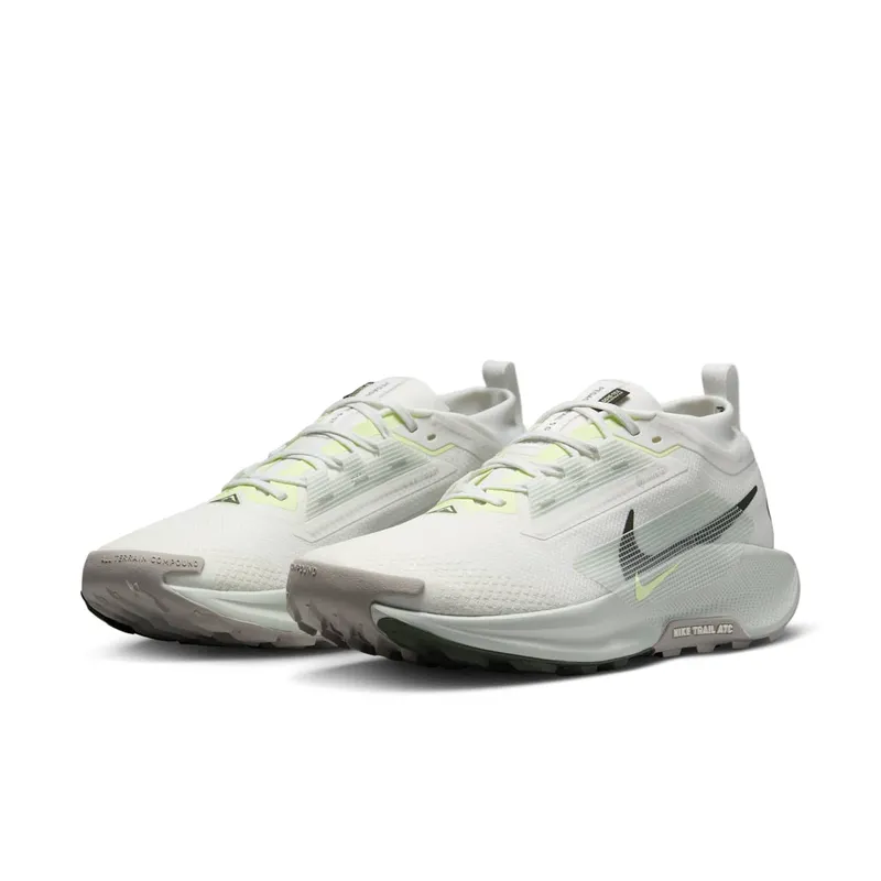 Nike Pegasus Trail 5 Gore-Tex Summit White Light Silver College Grey Sequoia (FQ0908-102)