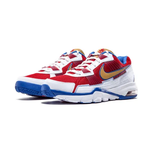 nike-air-trainer 407846-176