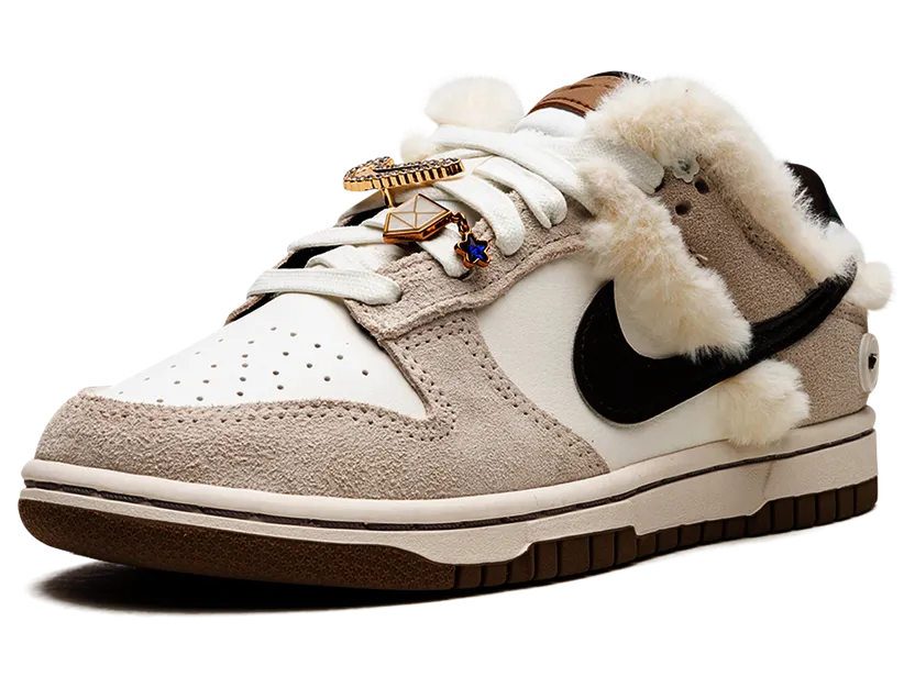 nike-dunk FB1859-121