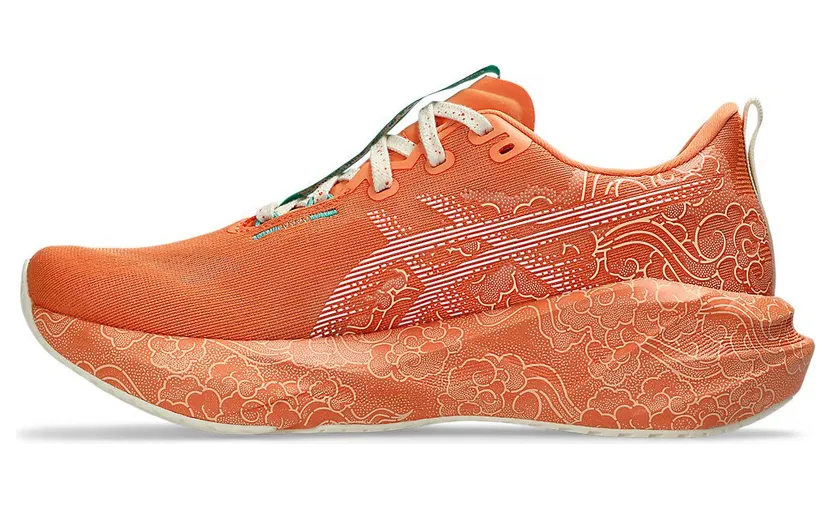 asics-novablast 1013A206-700