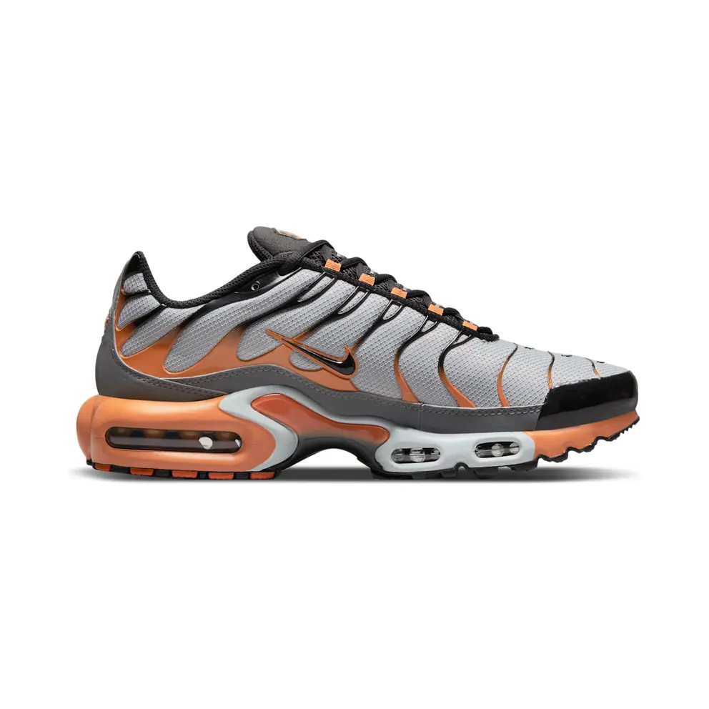 Nike Air Max Plus Grey (DM0032-001)
