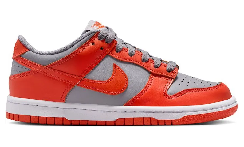 Nike Dunk Low Cement Grey Team Orange (FB9109-011)