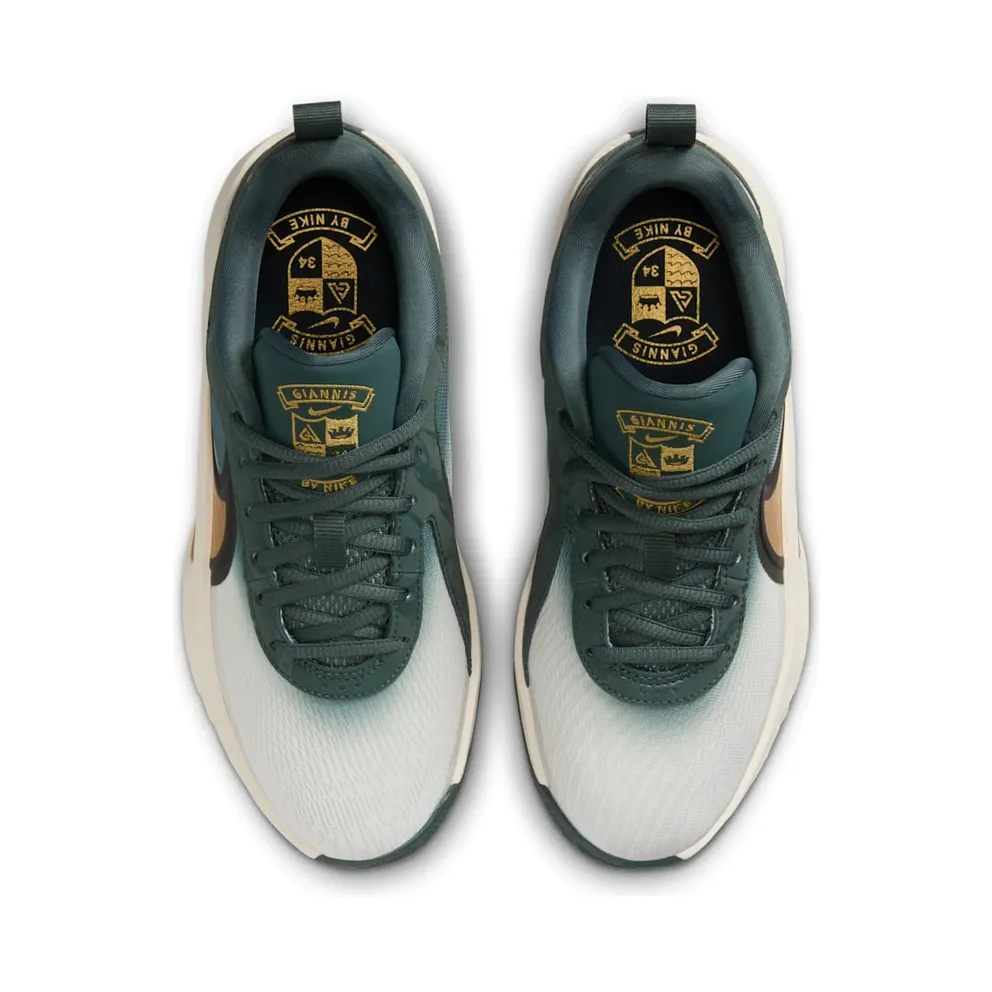 Nike Giannis Zoom Freak 6 Vintage Green Pale Ivory Metallic Gold (FZ7305-300)