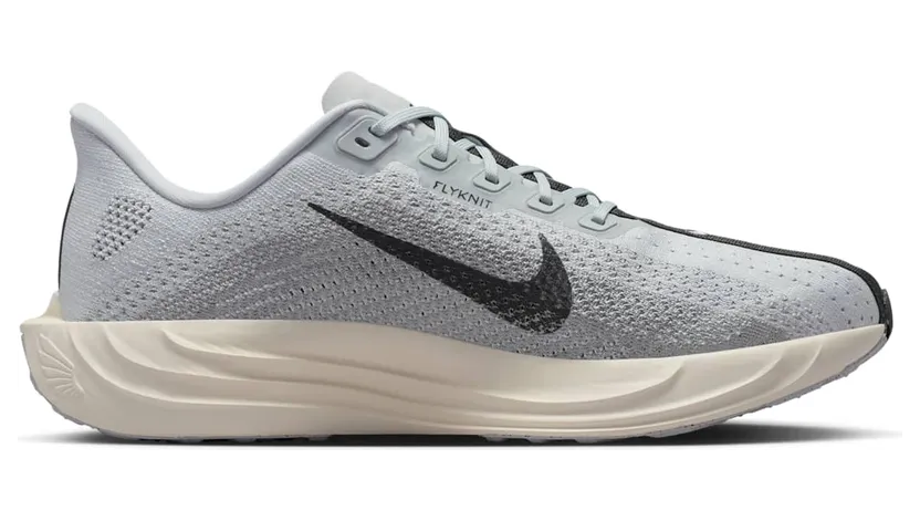 nike-air-pegasus FQ7262-017