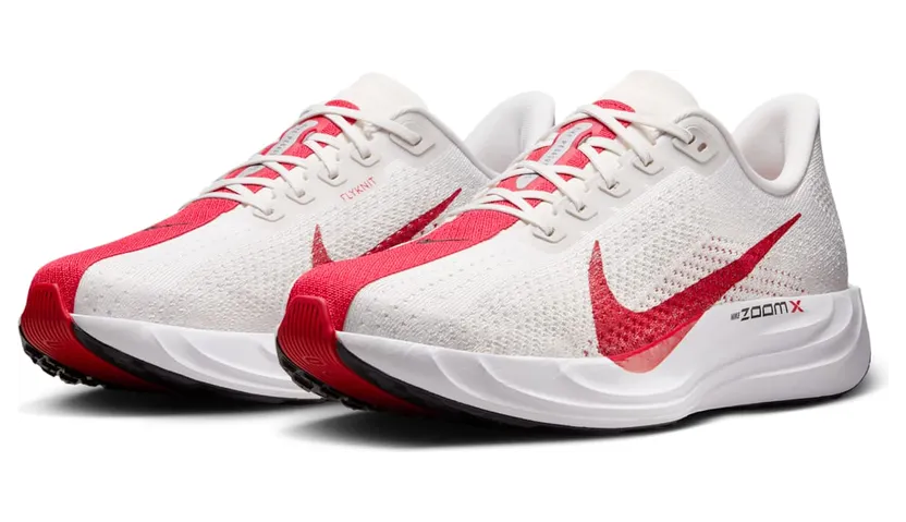 nike-air-pegasus FQ7262-003