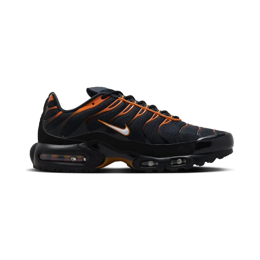 Nike Air Max Plus Dark Obsidian Monarch (FN6949-400)