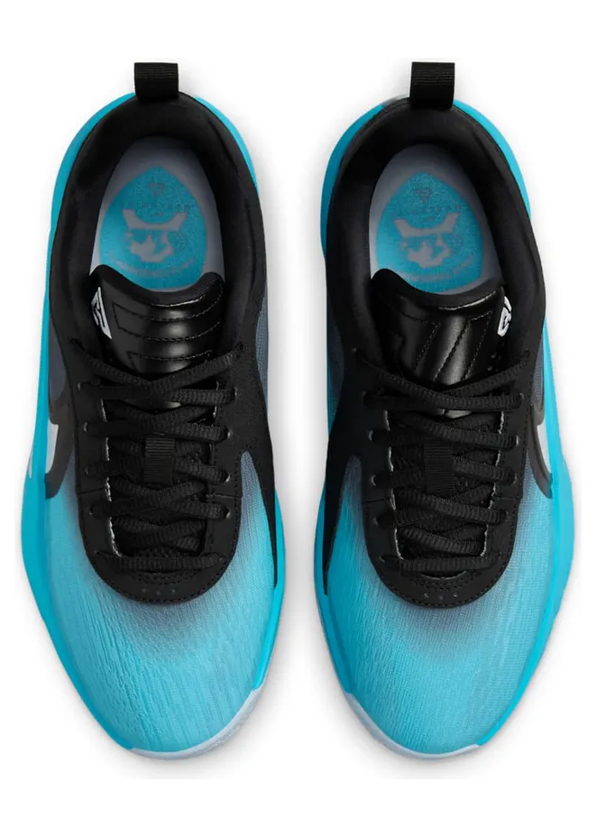 nike-zoom HV9532-001