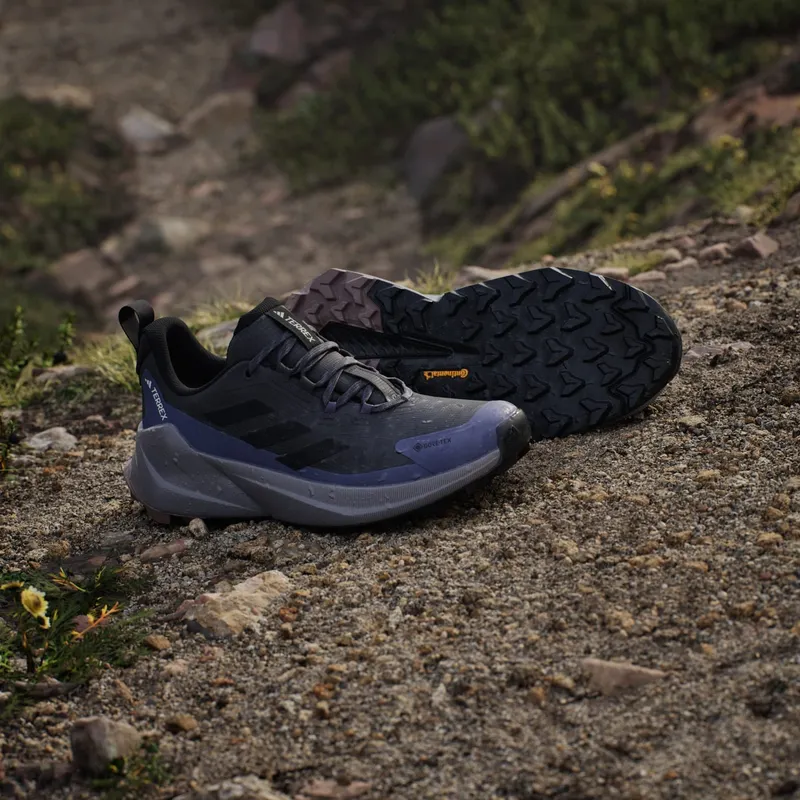 Adidas Terrex Trailmaker 2.0 GORE-TEX Hiking Carbon / Core Black / Preloved Violet (JQ9946)
