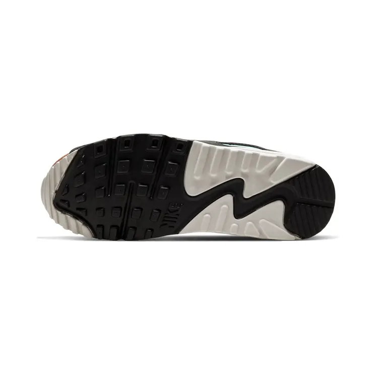 nike-air-max CW2656-001