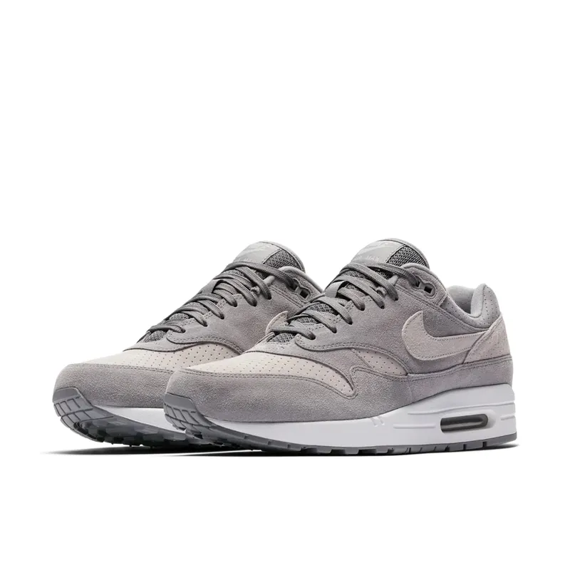 Nike Air Max 1 Cool Grey Wolf Grey (2018) (875844-005)