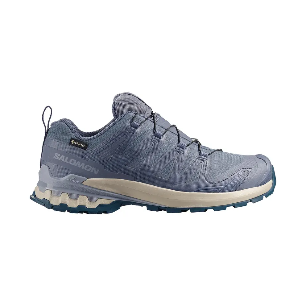 Salomon XA PRO 3D V9 GTX W Women, Grey (L47987700)