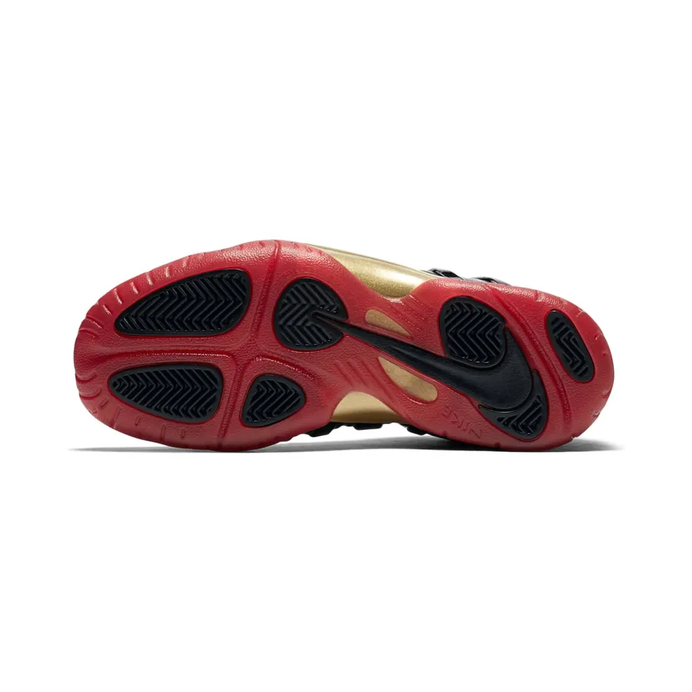 Nike Air Foamposite One Dracula (GS) Black/University Red-Metallic Gold (846077-003)