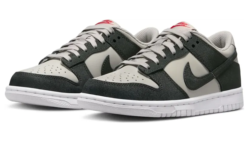 nike-dunk FZ1000-001