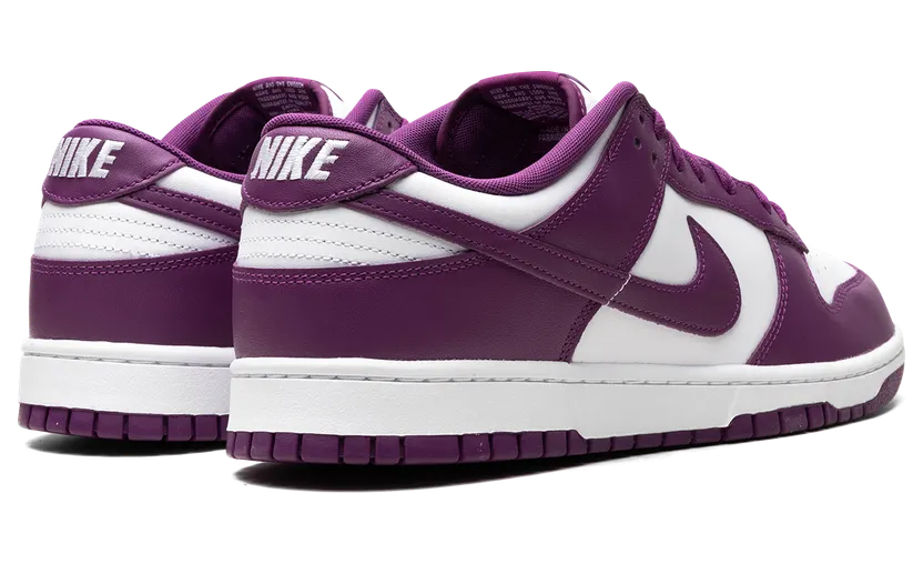 nike-dunk DV0833-107