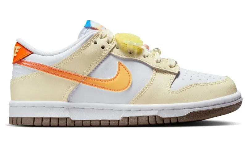 Nike Dunk Low IB8891-191