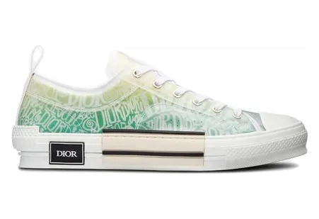 Dior And Shawn B23 Low Top