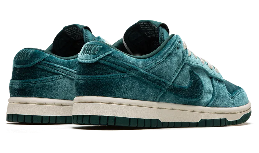 nike-dunk DZ5224-300