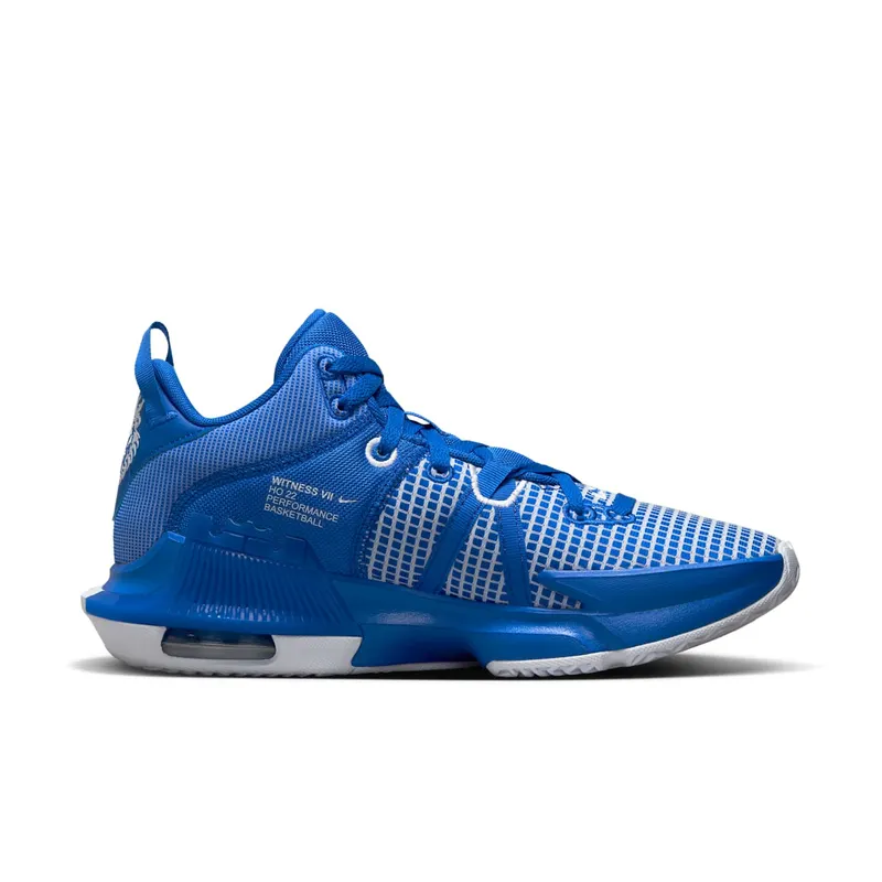 Nike LeBron Witness 7 TB Game Royal (DZ3299-400)
