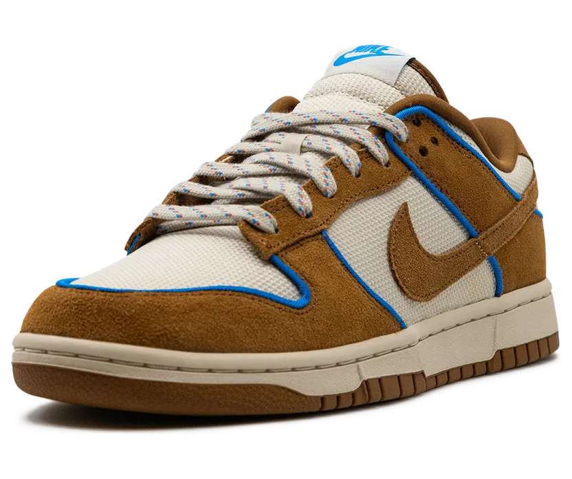nike-dunk FN5825-100