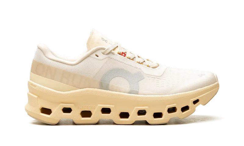 On Running Cloudmonster 1 “Goby Lily” (3WF30484910)