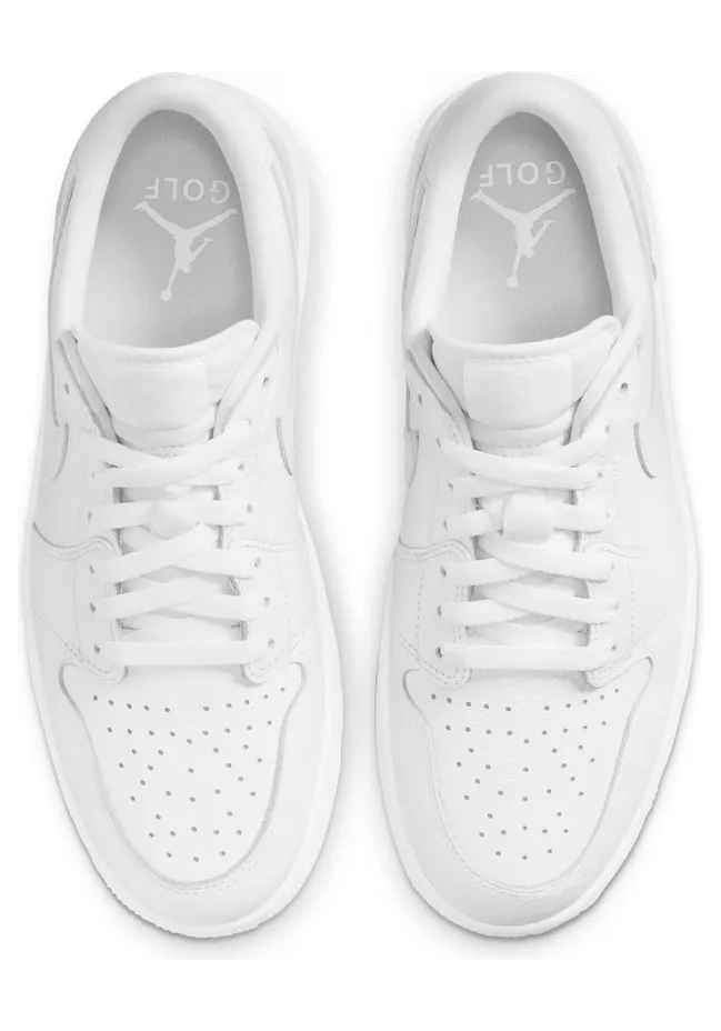 air-jordan-1 DD9315-101