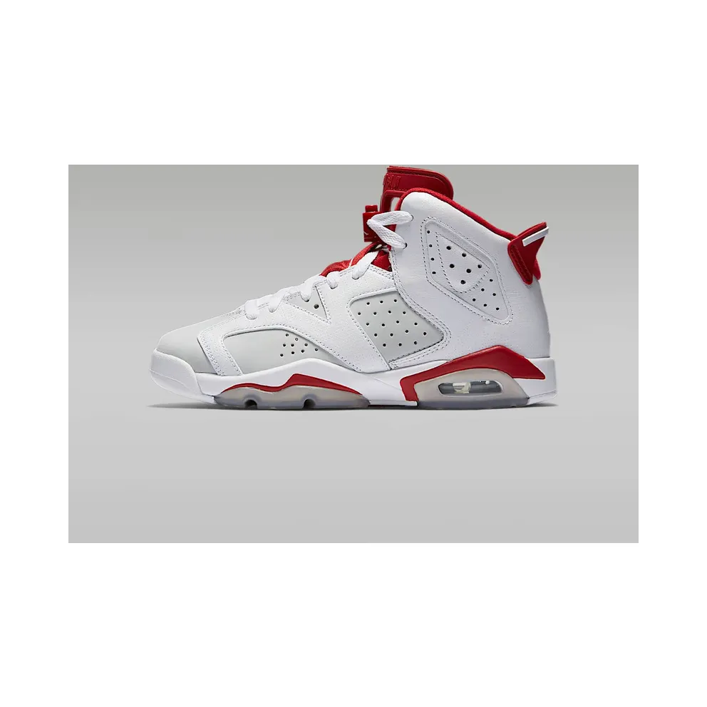 Jordan 6 Retro Alternate Hare (GS) White/Gym Red-Pure Platinum (384665-113)