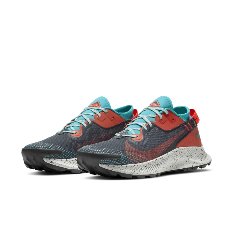 Nike Pegasus Trail 2 GORE-TEX Trail Running Black (DH0202-001)