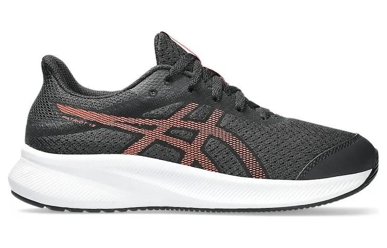 asics-patriot 1014A267-008