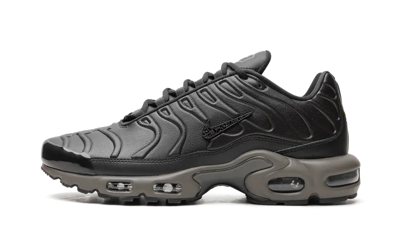 Nike Air Max Plus “Black Tea / Petra Brown” “Black Tea / Petra Brown” (HJ4519-200)