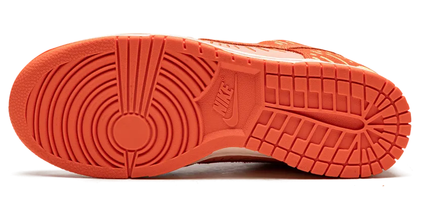nike-dunk DO6723-800