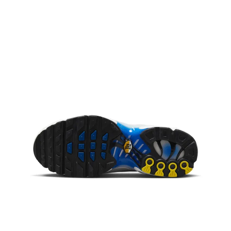 Nike Air Max Plus Light Smoke Grey Blue Lightning Racer Blue Black (CD0609-019)