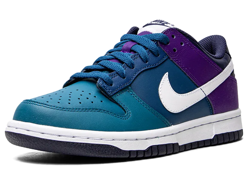 nike-dunk DH9765-300