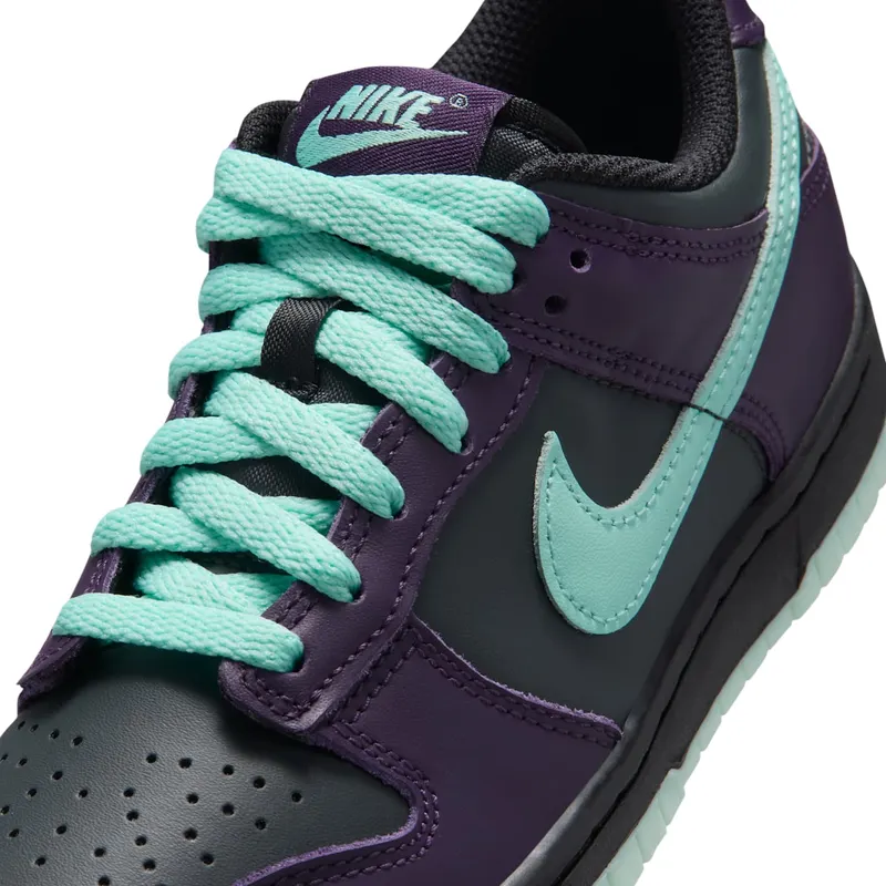 nike-dunk FB9109-013