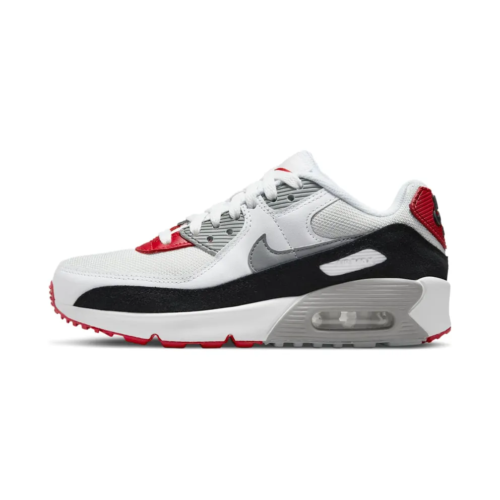 Nike Air Max 90 LTR Grau (CD6864-019)