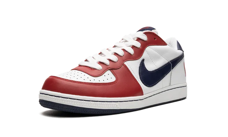 Nike Terminator Low “Olympics” (309436-142)