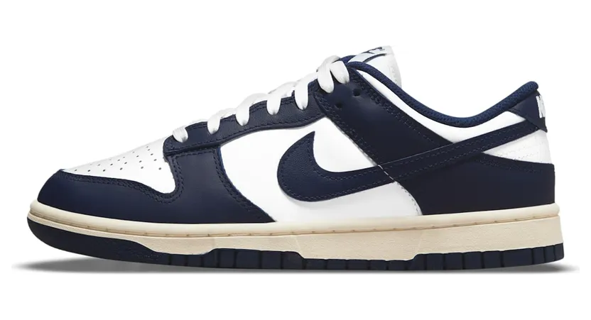 Nike Dunk Low DD1503-115