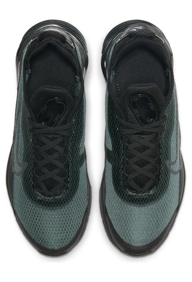 nike-air-max CJ4066-001