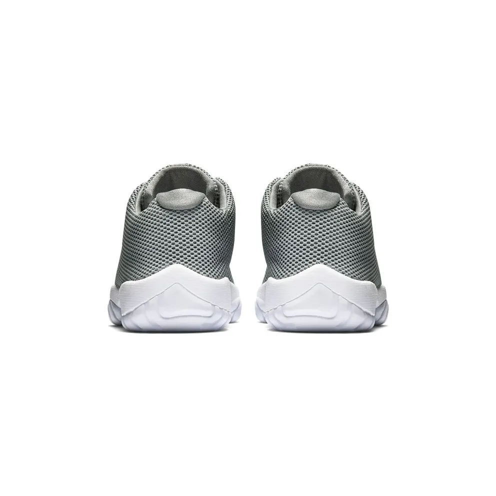 Jordan Future Low Grey Mist (718948-003)
